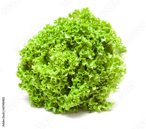 Fresh green lettuce isolated on a white photo