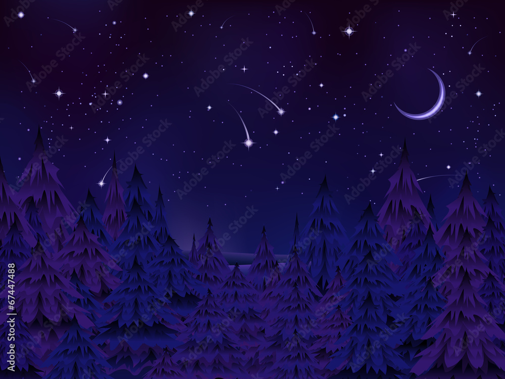 Naklejka premium mysterious forest night