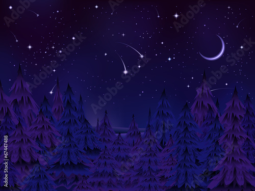 mysterious forest night
