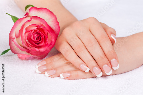 Beautiful woman's hands with perfect french manicure near rose