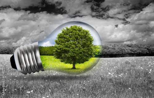 Glühbirne in der Natur