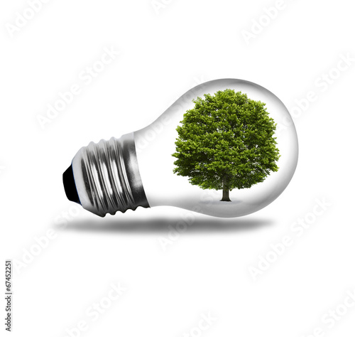 Glühbirne mit Baum