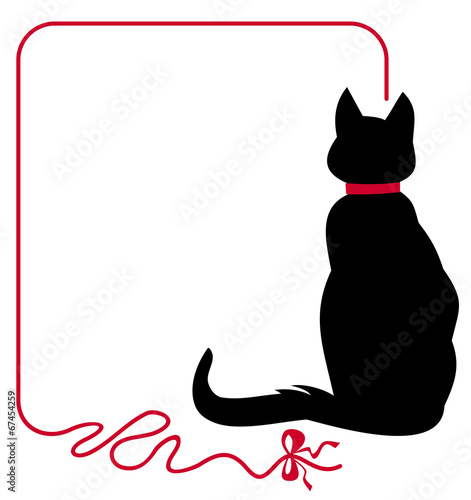 Black cat in red collar