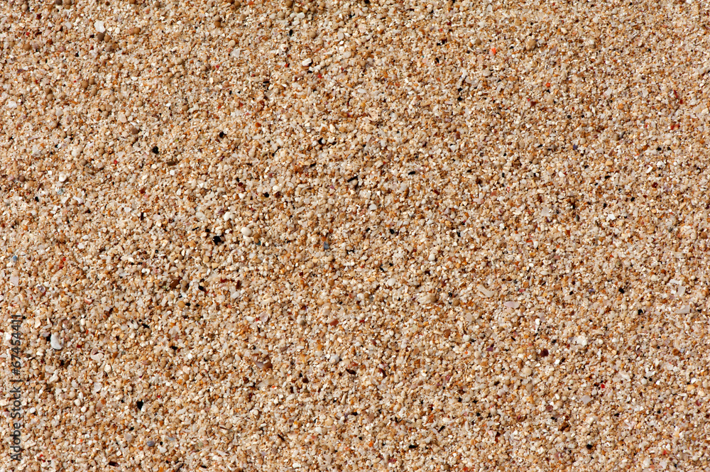 Broken shell sand Broken shell sand