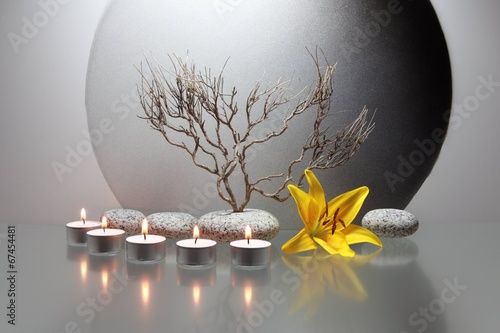 Stilleben mit gelber Lilienblüte