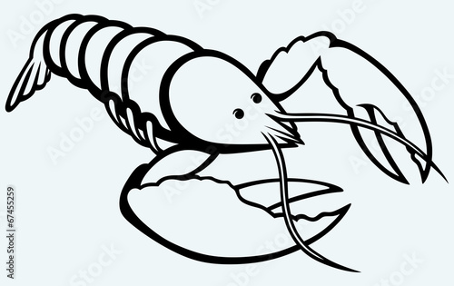 Crayfish sketch. Image isolated on blue background