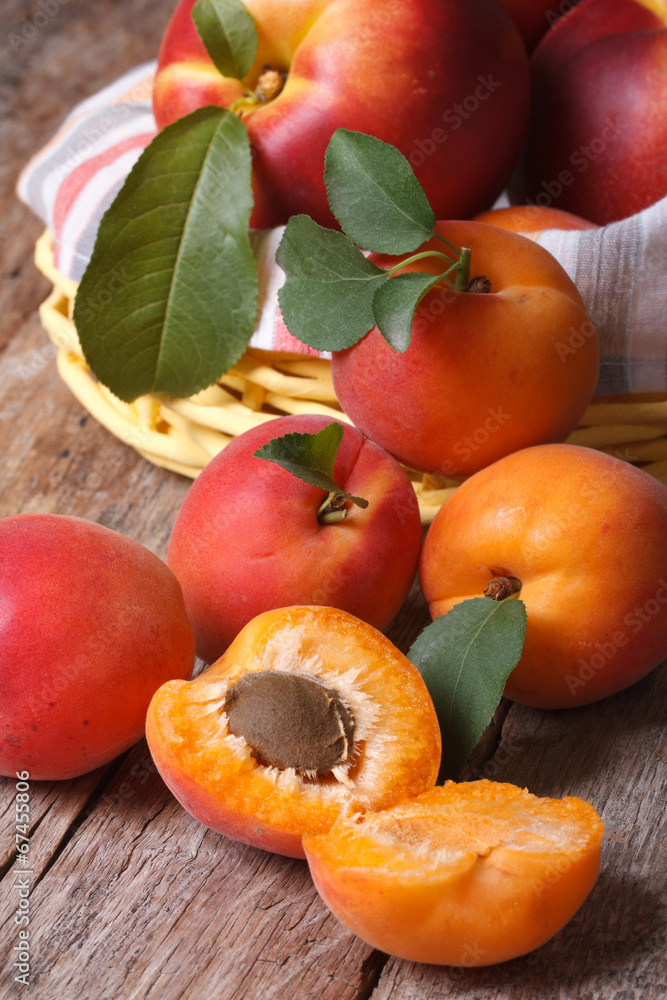apricots close-up on a background of a basket of fruit vertical apricots close-up on a background of a basket of fruit vertical