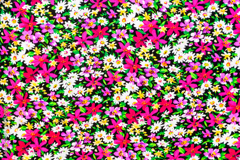 Magenta and White Flowers Background/ Texture