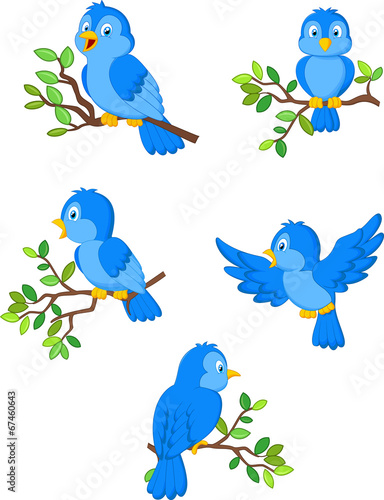 Illustration of a set of cute cartoon birds #67460643