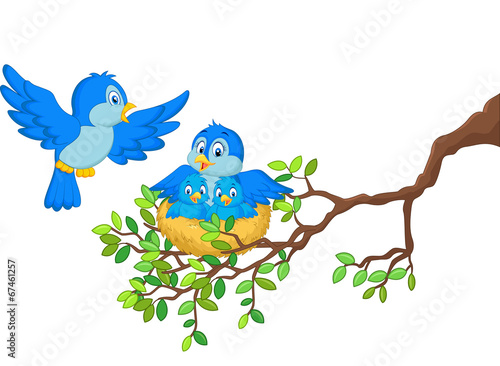 Birds with her two babies in the nest