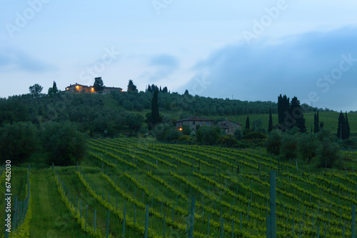 Sunrise over vineyards  Tuscany  Italy
