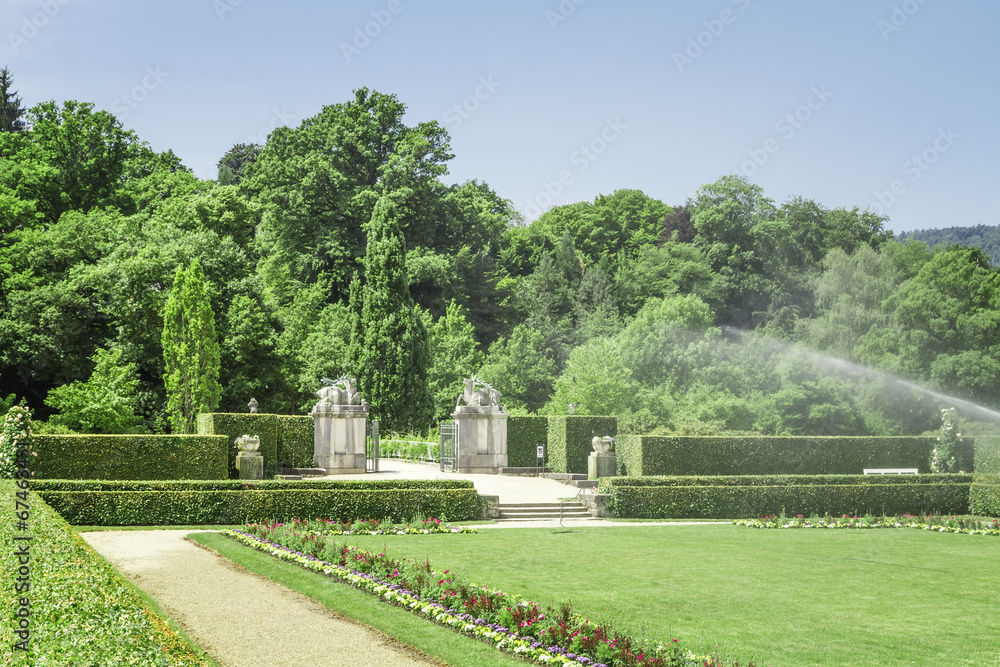 Fototapeta premium Watering the rose garden.