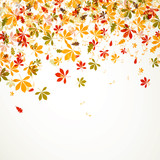 Vector Illustration of an Autumn Background