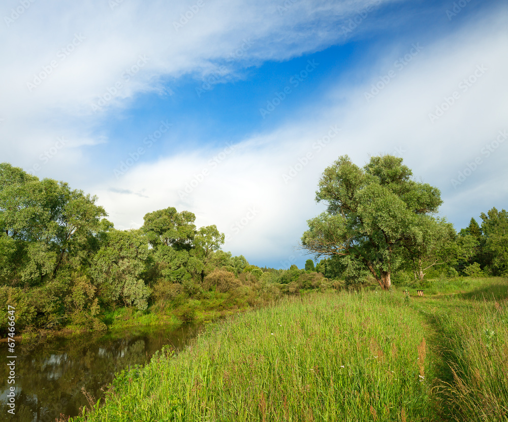 Fototapeta premium summer landscape with the river and the forest, a panorama
