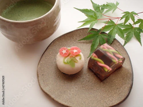 和菓子　　夏の花