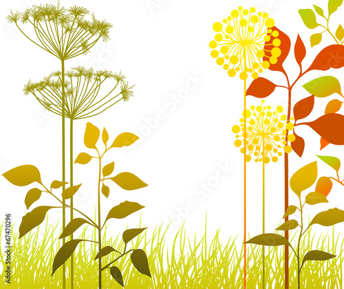 Autumn plants