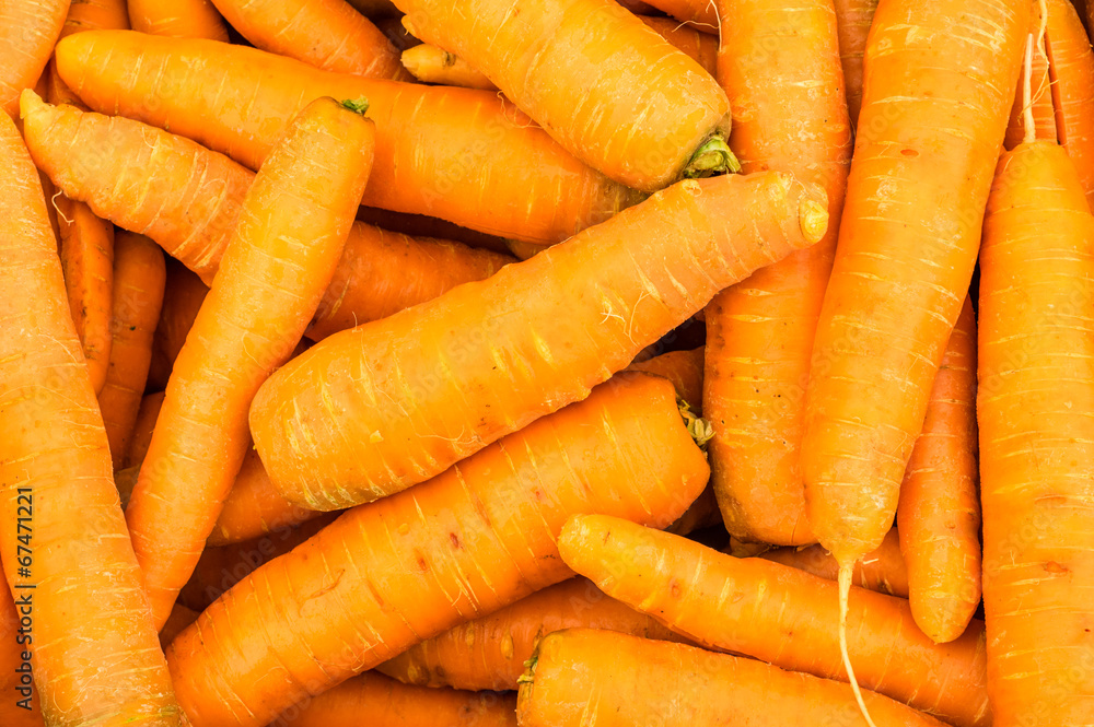 Harvested orange carrots on display Harvested orange carrots on display