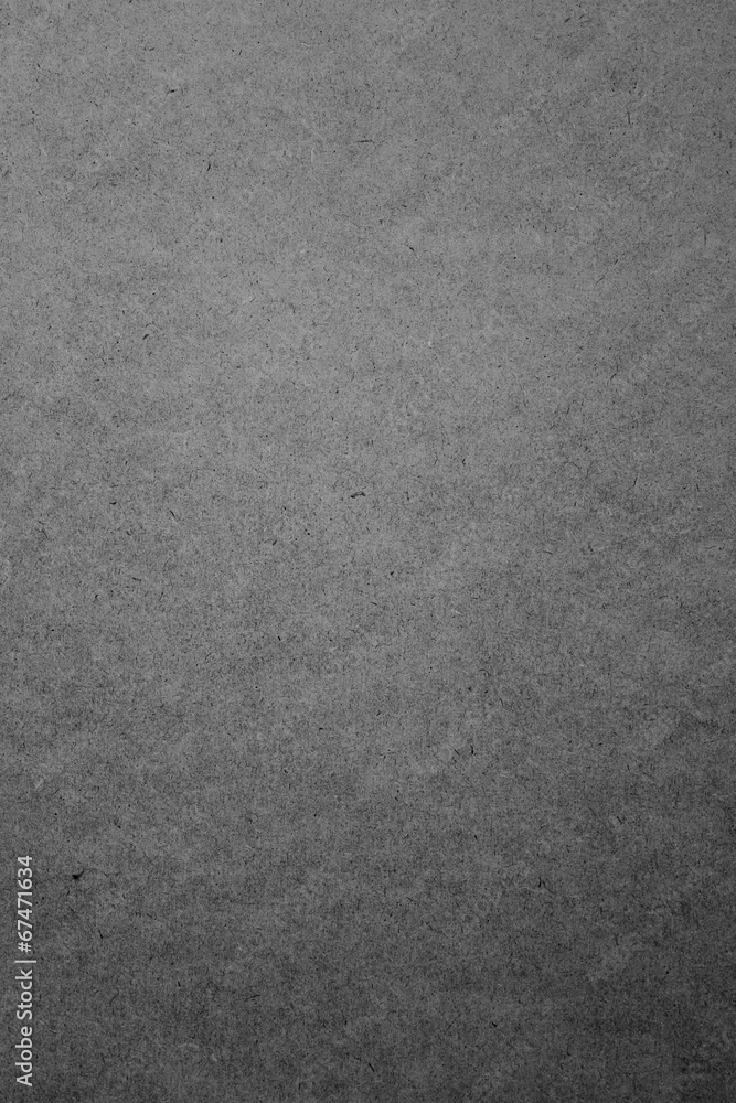 Fototapeta premium Grey texture vertical background