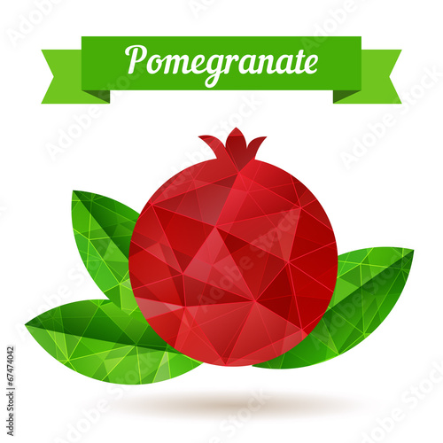 Pomegranate, vector illustration.