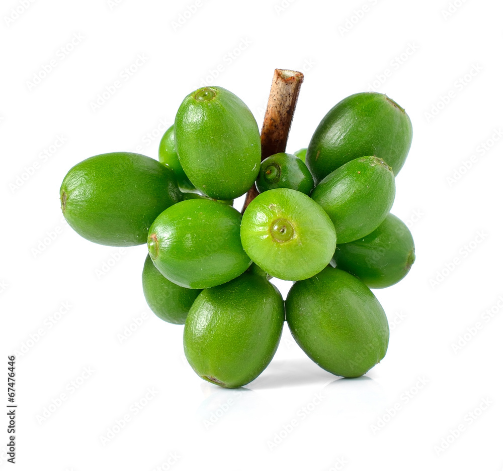 Obraz premium coffee beans on white background.