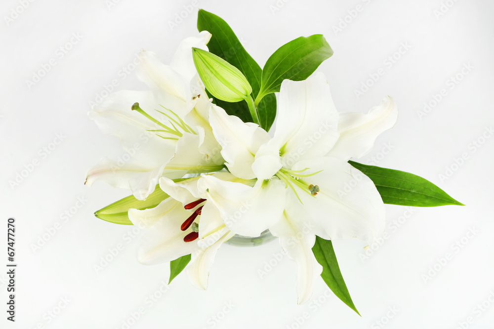 Beautiful lily in vase isolated on white