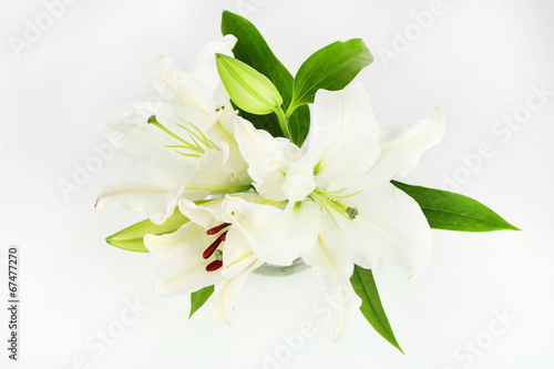 Fototapeta Naklejka Na Ścianę i Meble -  Beautiful lily in vase isolated on white