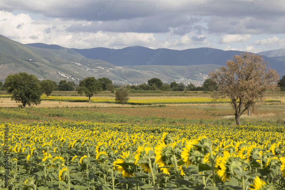 Campello, umbria