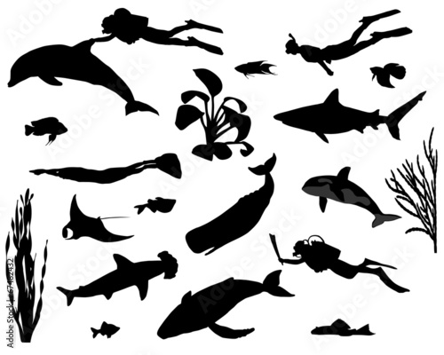 Divers