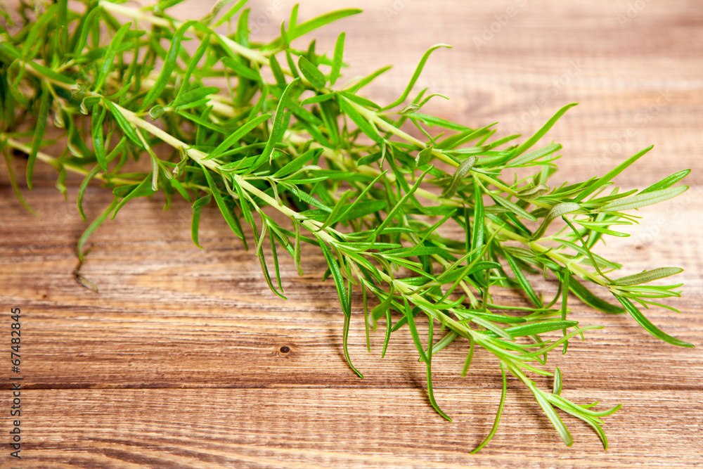 Rosemary leaf Rosemary leaf