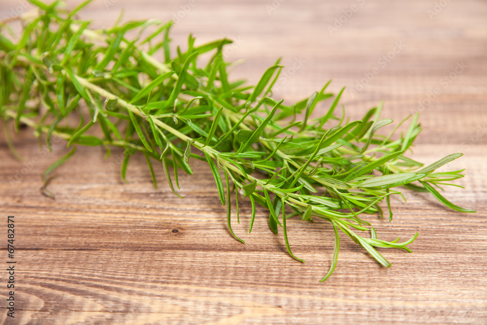 Rosemary leaf Rosemary leaf