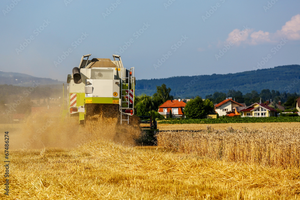 Obraz premium Getreidefeld mit Weizen bei der Ernte