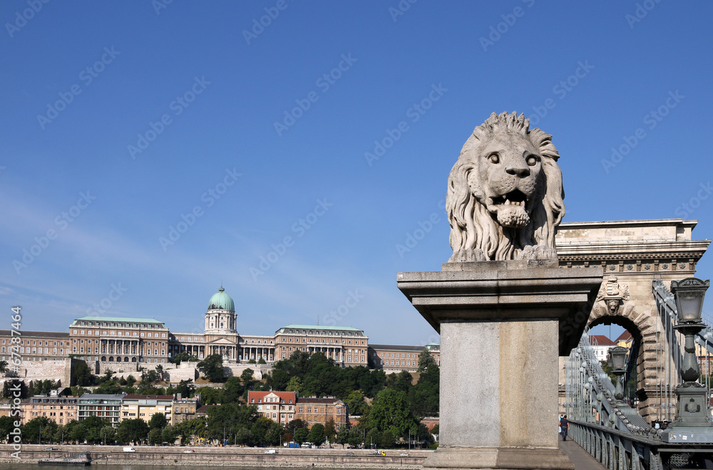 Buda castle and chain bridge lion statue Budapest
