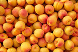 Background of fresh apricots