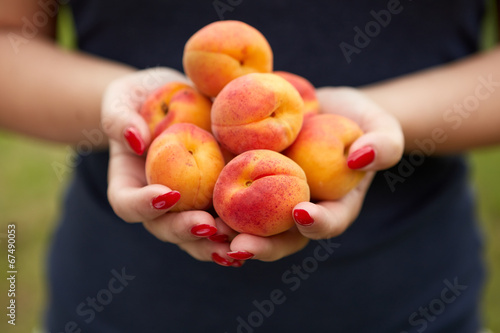 Female hands holding apricots