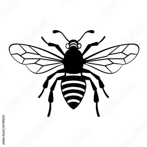 Bee Icon Vector