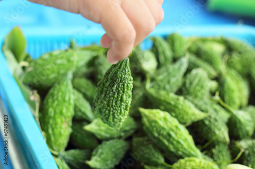 Close-up of vegetable bitter melon.