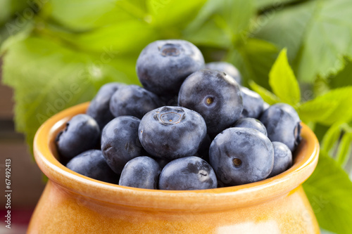 Wallpaper Mural Jug with blueberries Torontodigital.ca