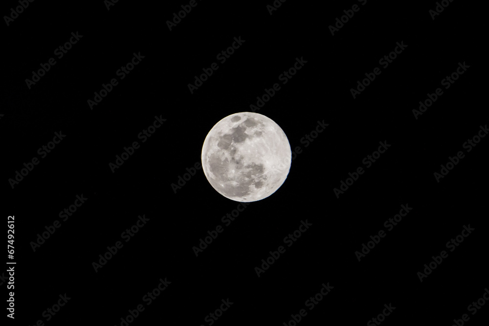 Obraz premium Moon in the dark