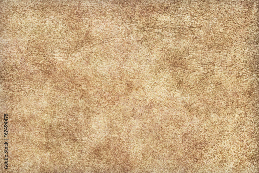 Animal Skin Parchment Grunge Texture Sample Animal Skin Parchment Grunge Texture Sample