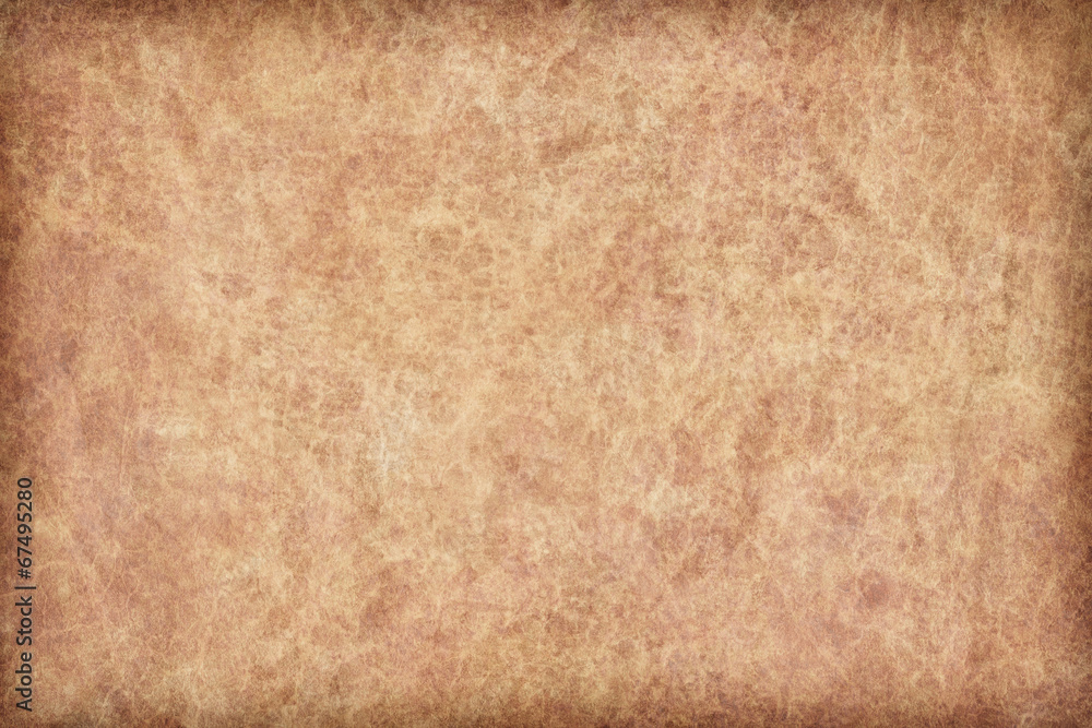 Fototapeta premium Animal Skin Parchment Grunge Texture Sample