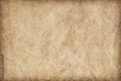 Animal Skin Parchment Grunge Texture Sample