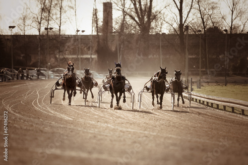 Canvastavla Harness Racing .horse