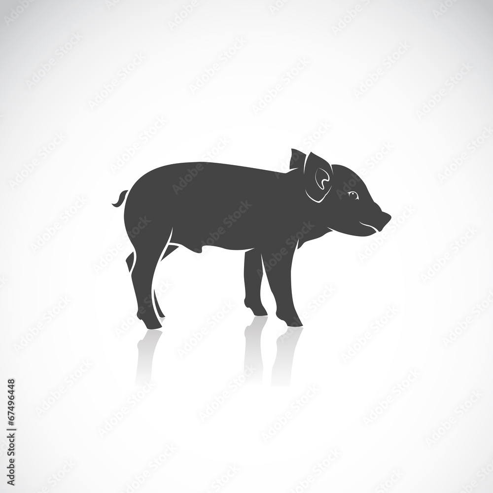 Obraz premium Vector image of a piglet
