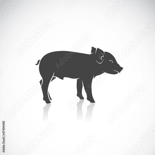 Canvas Print Vector image of a piglet