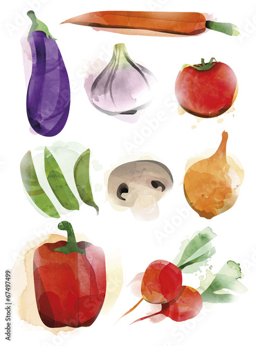 Vegetable Watercolor