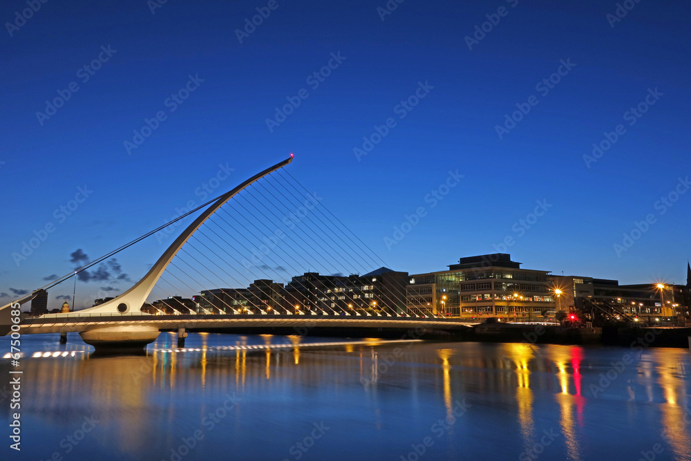 Obraz premium most Samuela Becketta II