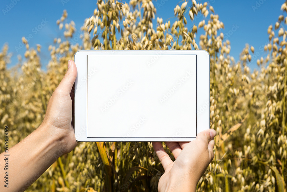 Tablet im Hafer gehalten Tablet im Hafer gehalten