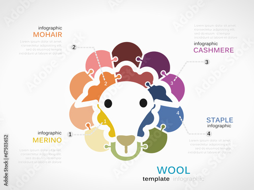Wool concept infographic template with sheep