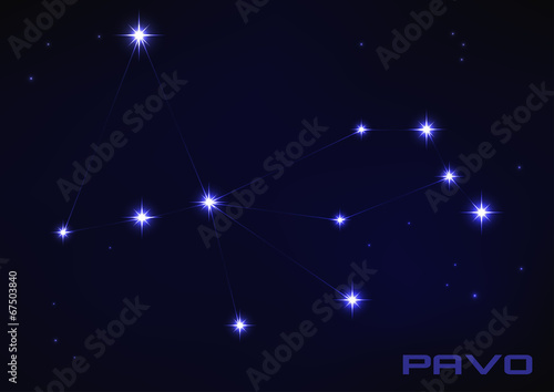 Pavo constellation © pecorb