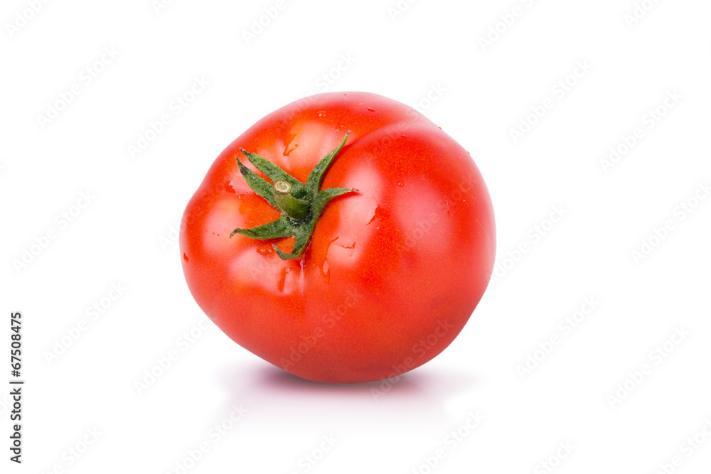 fresh tomato with dew isolated